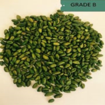 Grande B: Lower Dark green color 